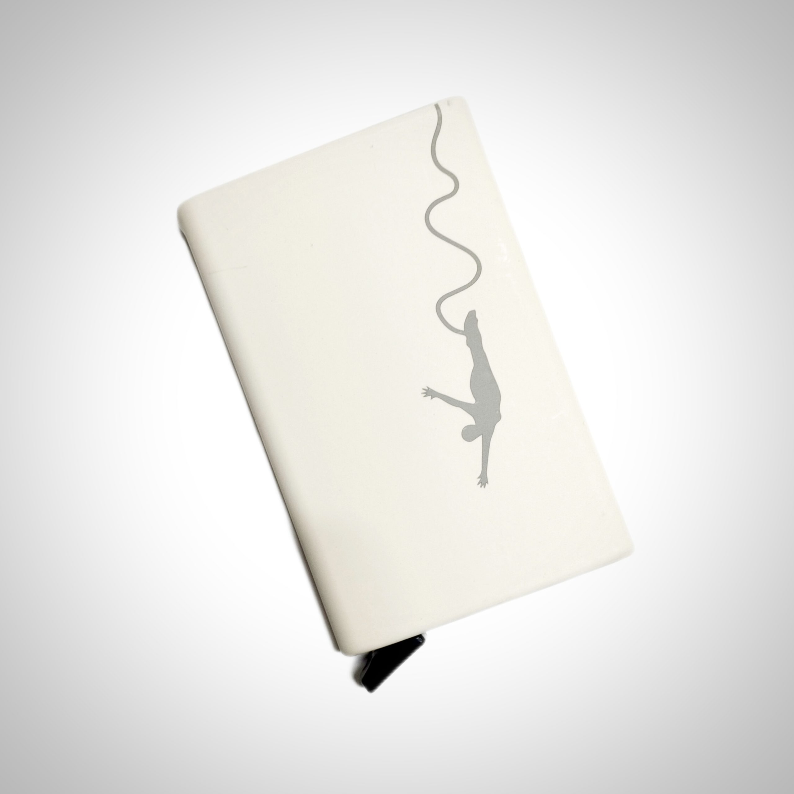 بانجی جامپینگ